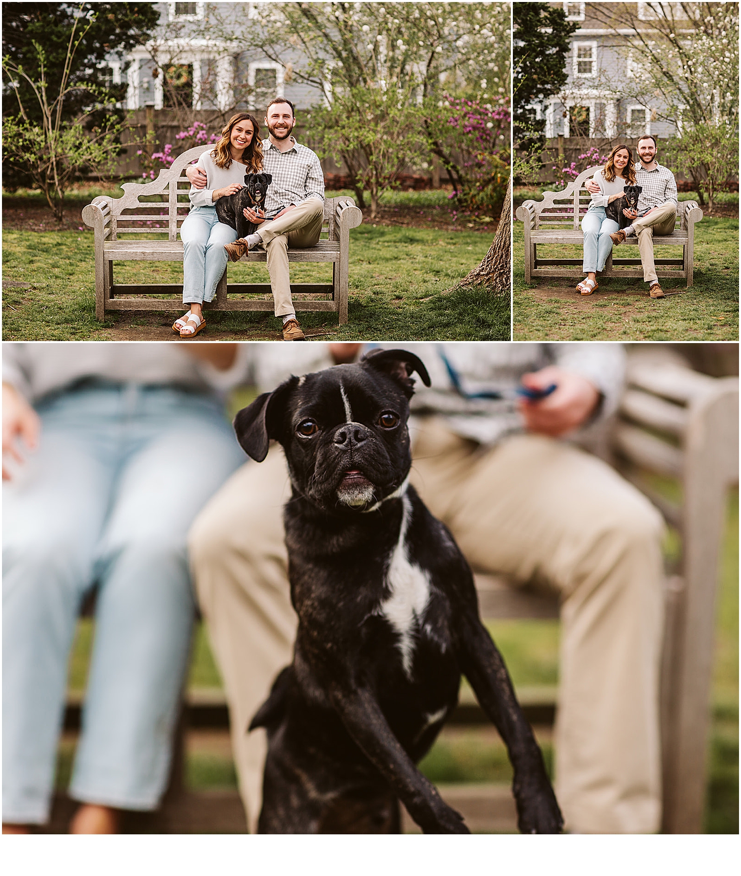 New-England-couple-engagement-photos-with-dog